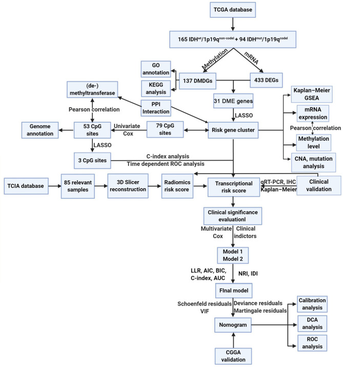 Figure 1