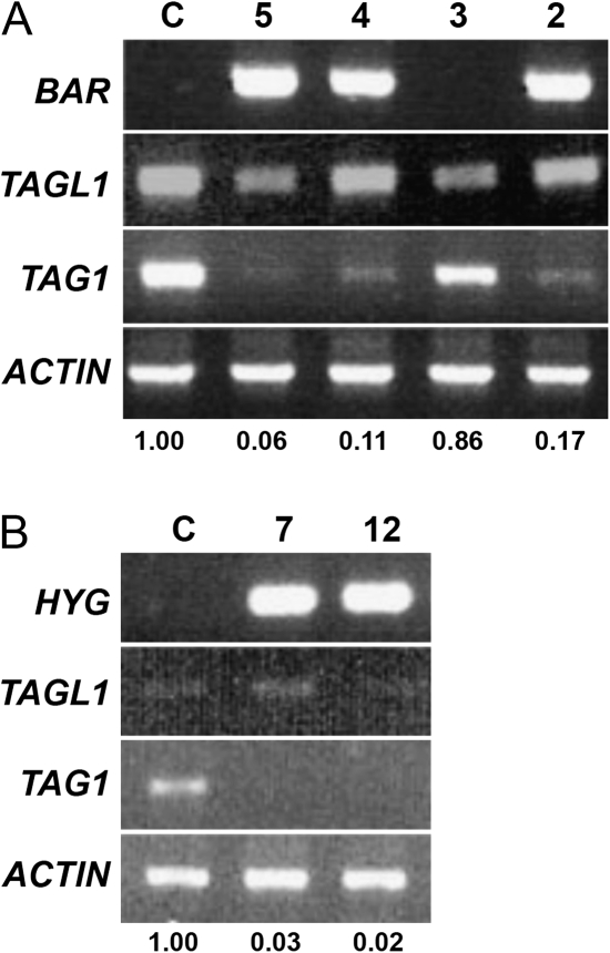 Fig. 3.