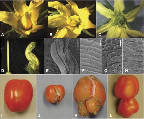 Fig. 9.