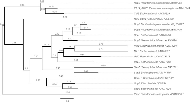 FIG 2