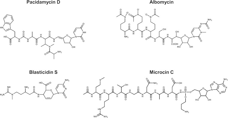 FIG 4