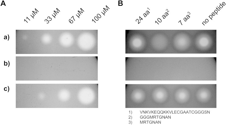 FIG 3