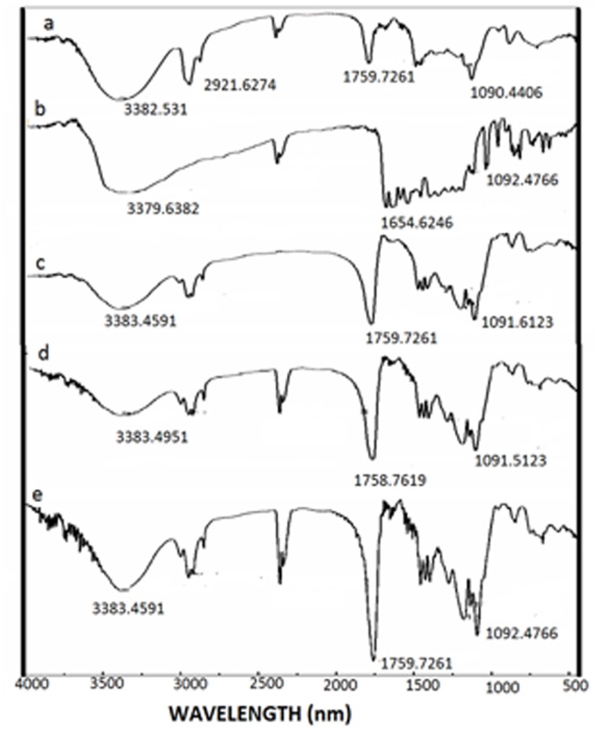 Fig 6