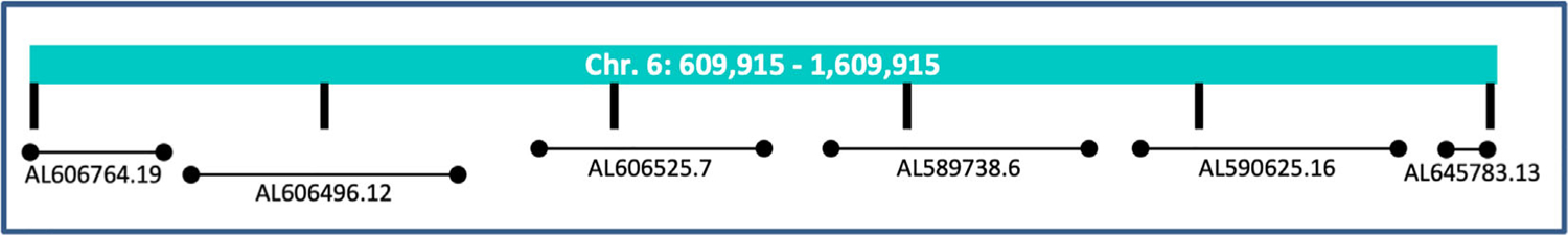 FIGURE 1