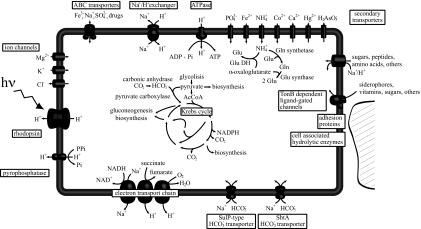 Fig. 2.