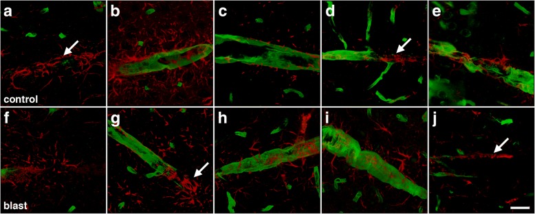 Fig. 9