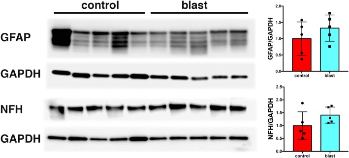 Fig. 15