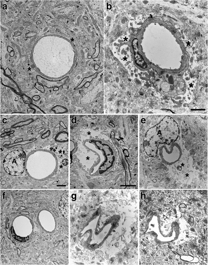 Fig. 13