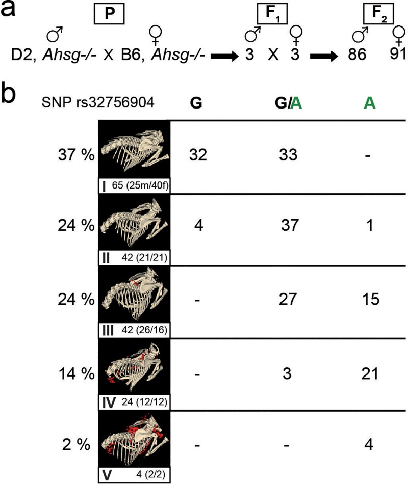 Fig 7