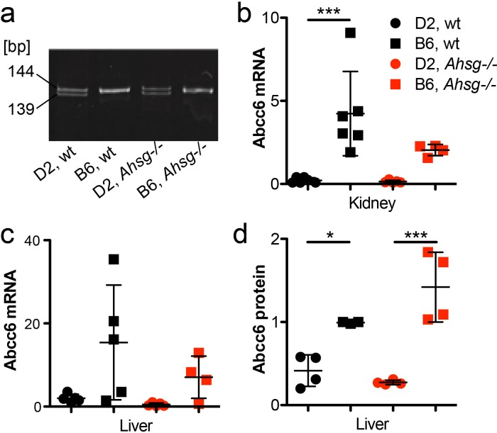 Fig 6