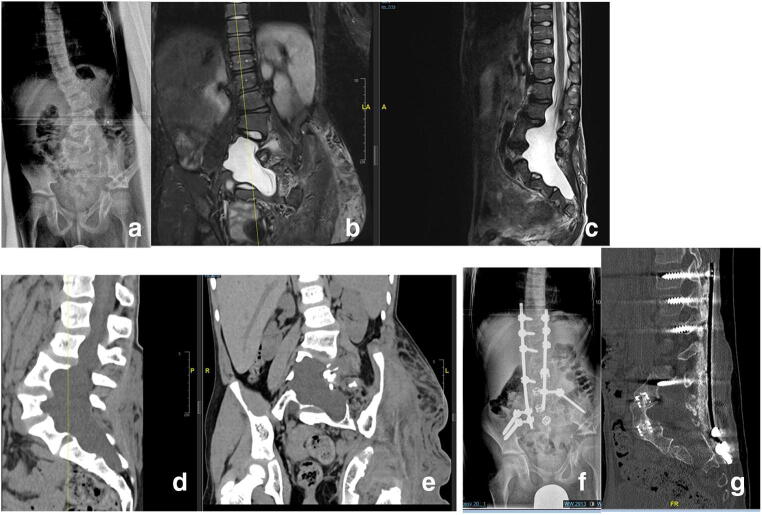 Fig. 6