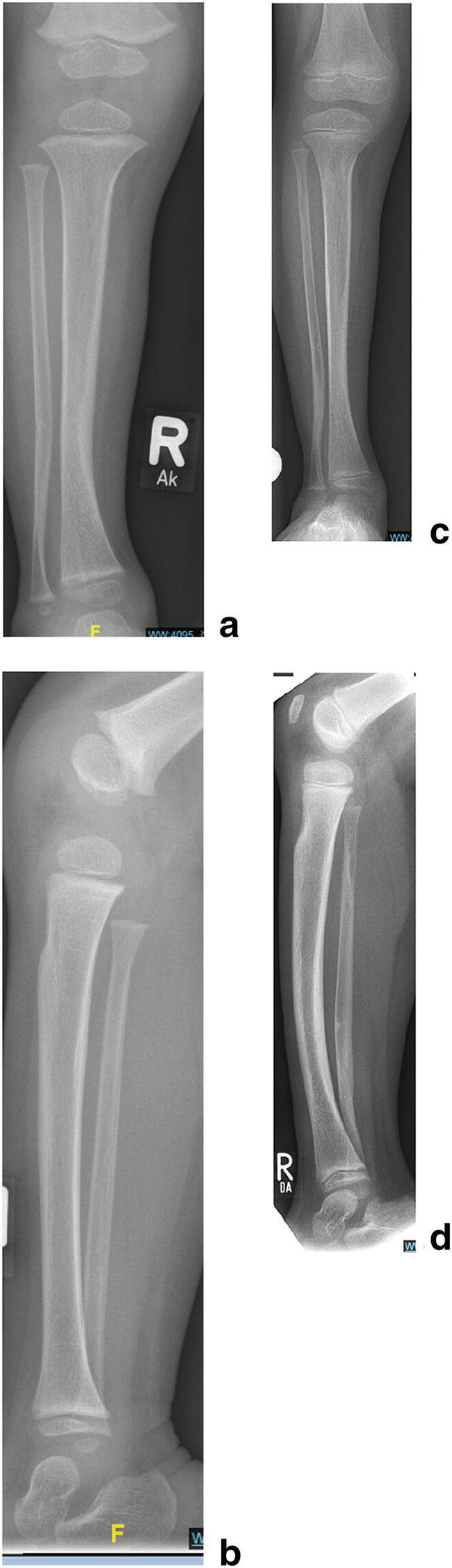 Fig. 8