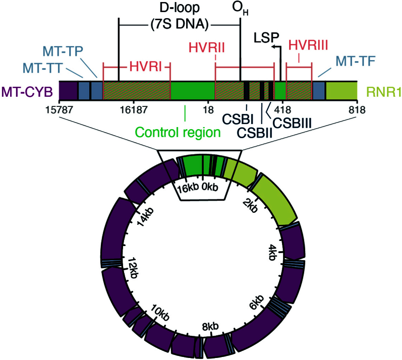 Extended Data Fig. 7