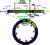 Extended Data Fig. 7