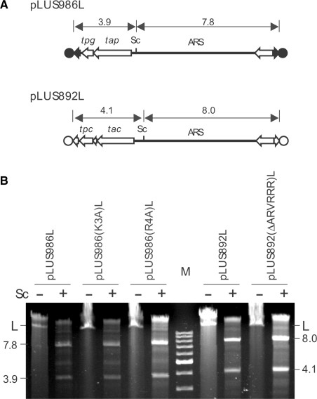 Figure 4.