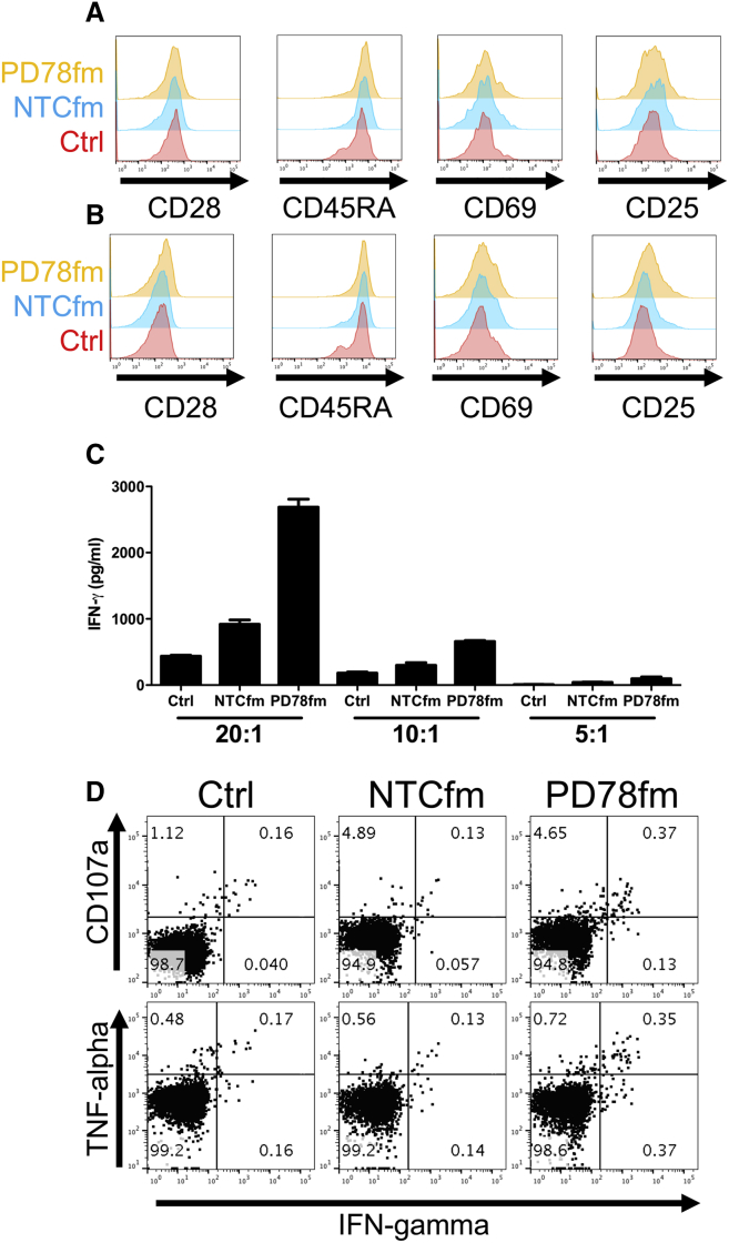 Figure 6