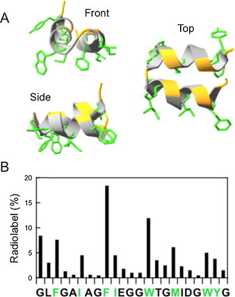 Fig. 3