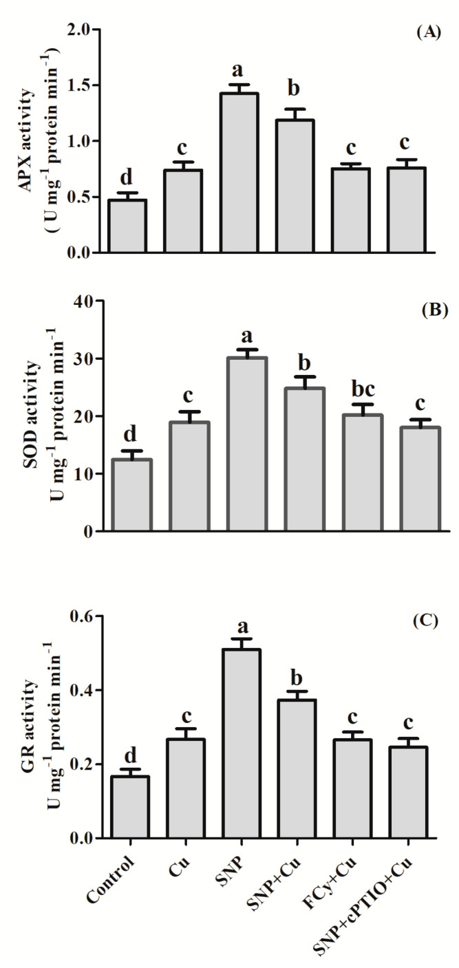 Figure 10