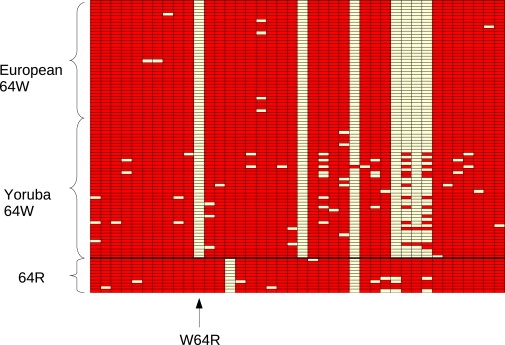 Figure 2