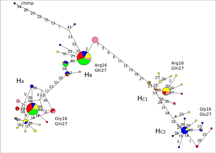 Figure 1