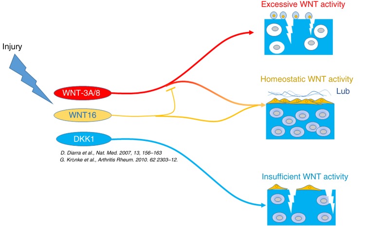 Figure 6