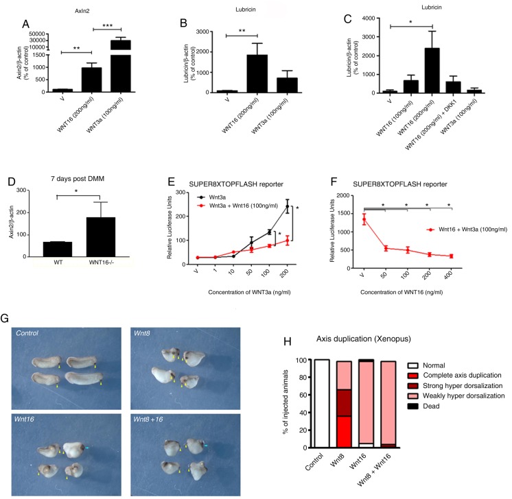 Figure 5