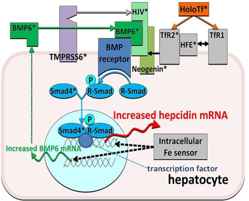 Figure 2.