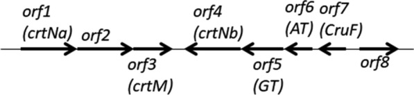 Fig. 1