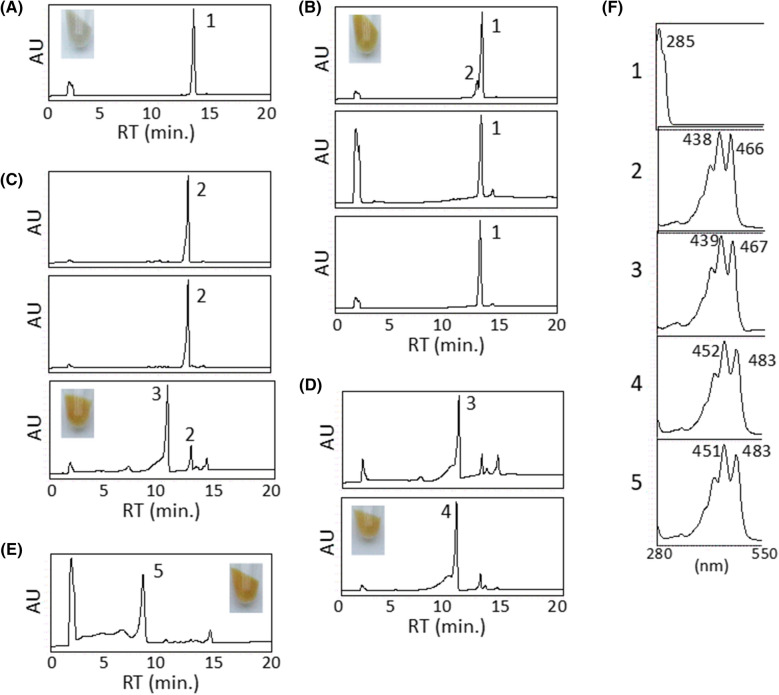 Fig. 3