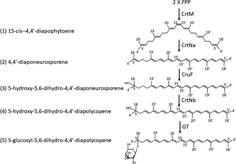 Fig. 4