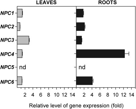 Fig. 1.