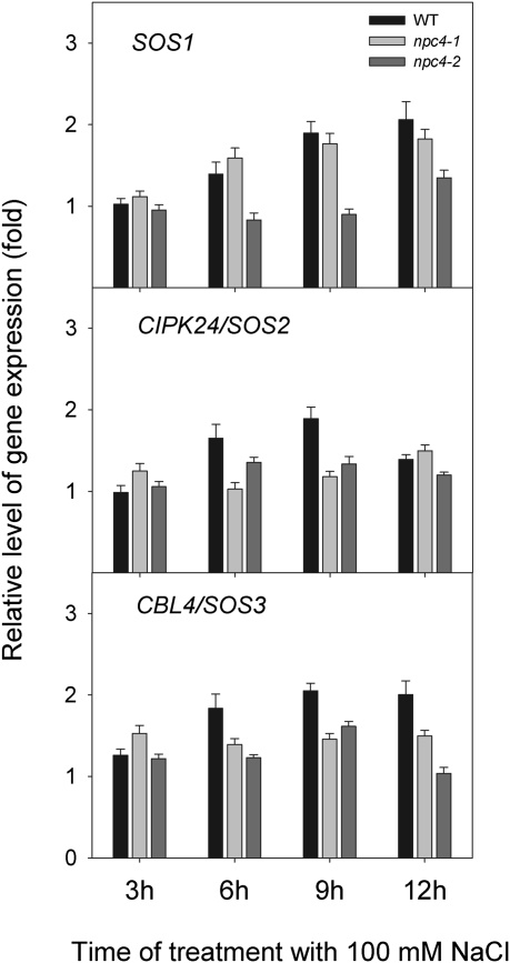 Fig. 7.