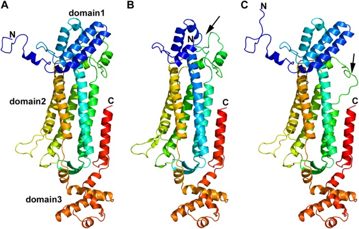 FIGURE 5.