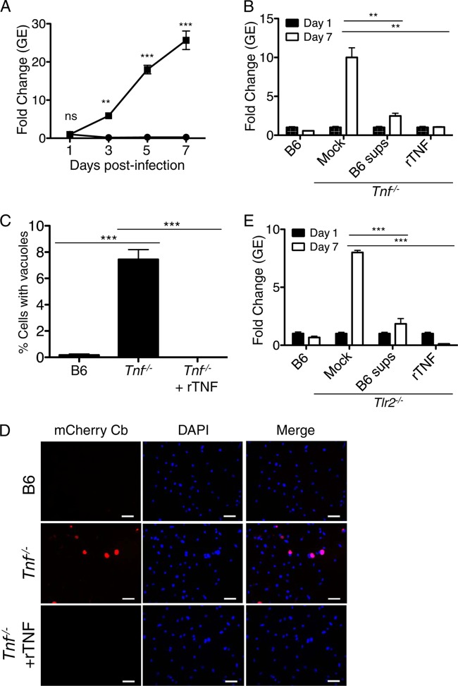 FIG 6