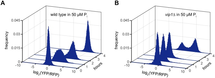 Fig 5