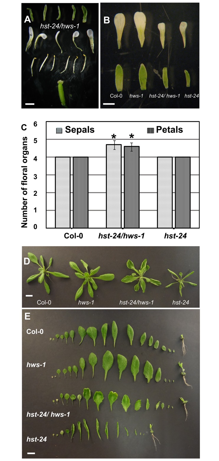 Fig 4