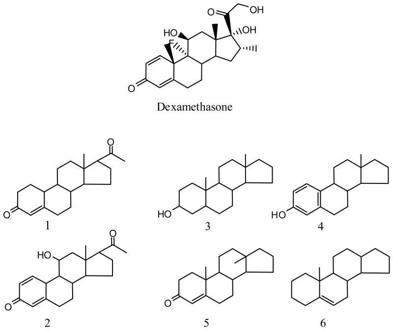 Figure 5