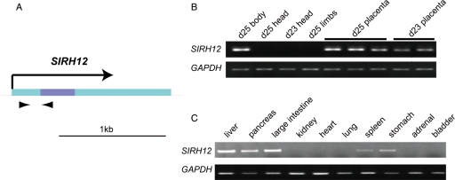 Figure 2.