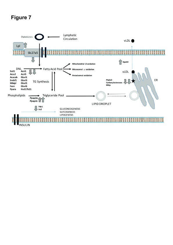 Figure 7. 