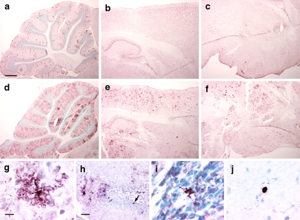 Fig. 5