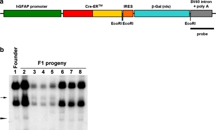 Fig. 1