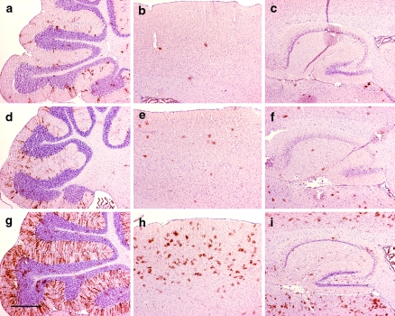 Fig. 8