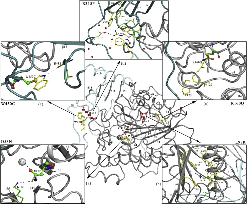 Fig. 3