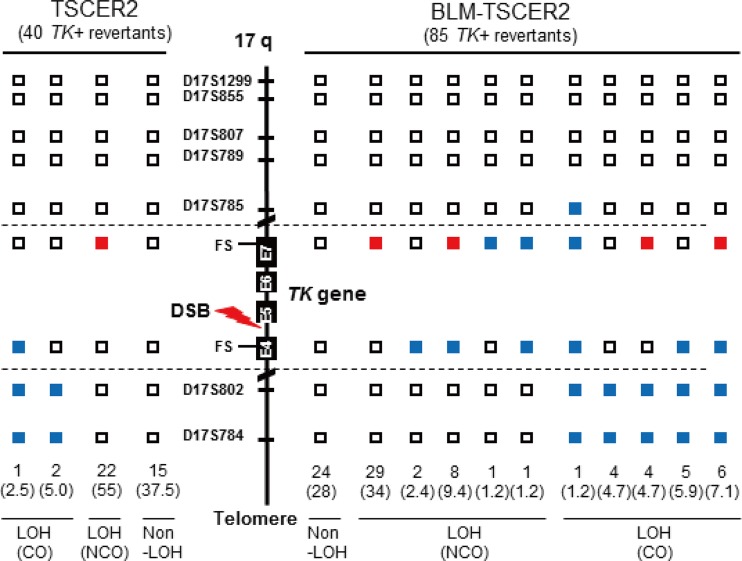 FIG 6