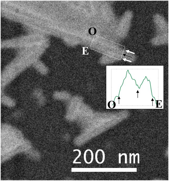 Figure 14