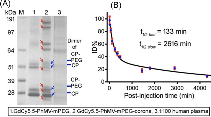 Figure 5: