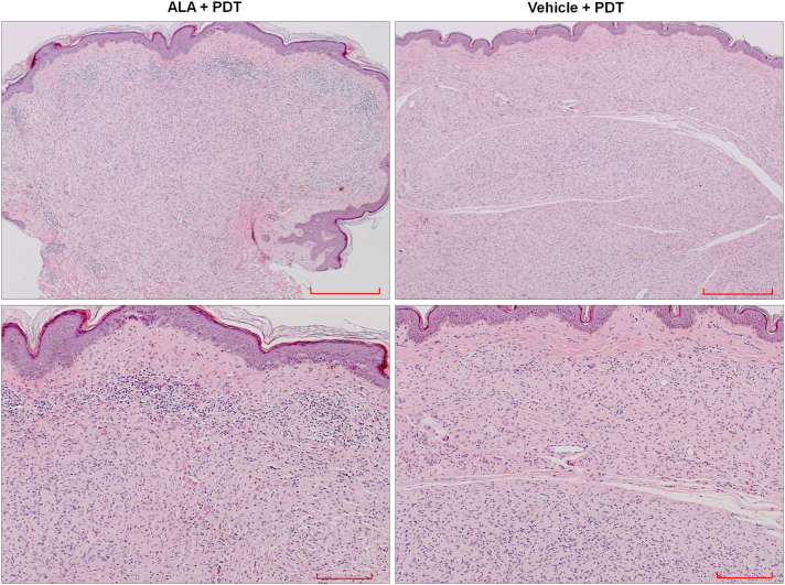 FIG. 4.