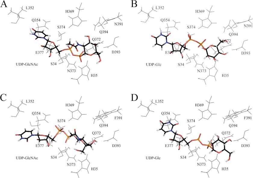 FIGURE 3.