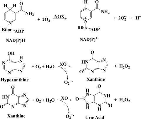 Fig 10