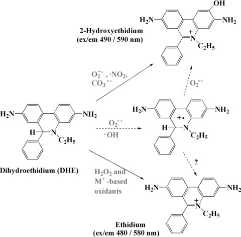 Fig 5